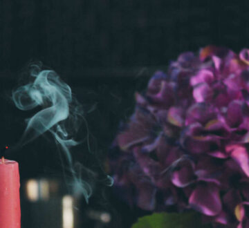 candle-blossom